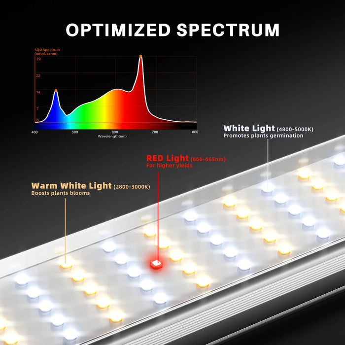 AI Grow 2024 Latest SMART ACE1000 1000W Full Spectrum LED GROW LIGHT for Indoor Plants AI Grow 2024 Latest SMART ACE1000 1000W Full Spectrum LED GROW LIGHT for Indoor Plants