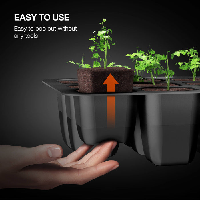 spider plant starter Buy Spider Farmer® Seed Starting Trays I 4-Pack — LED Grow Lights Depot