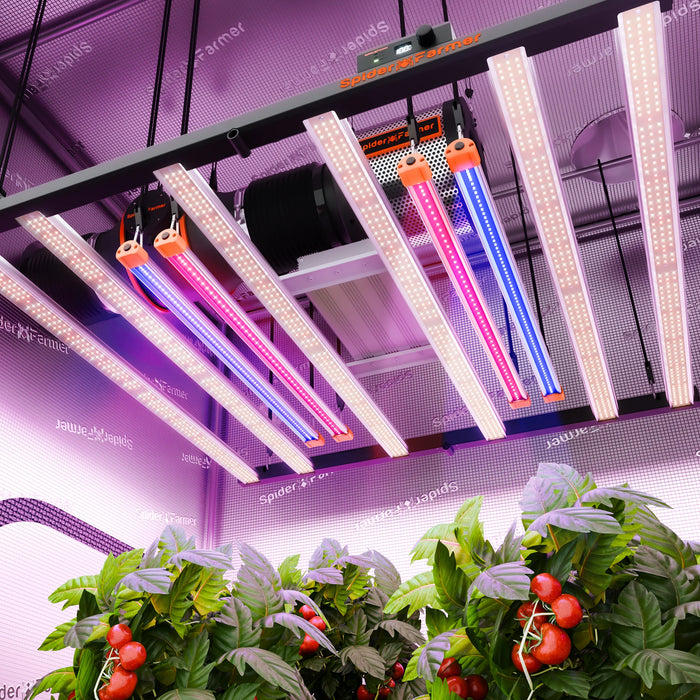 red light for growing plants Buy Spider Farmer UVR3016