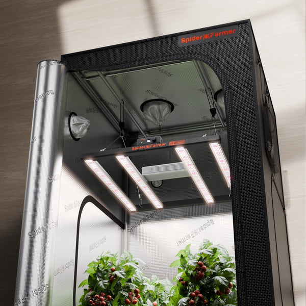 Untitled_0635165a-6ba0-42d3-