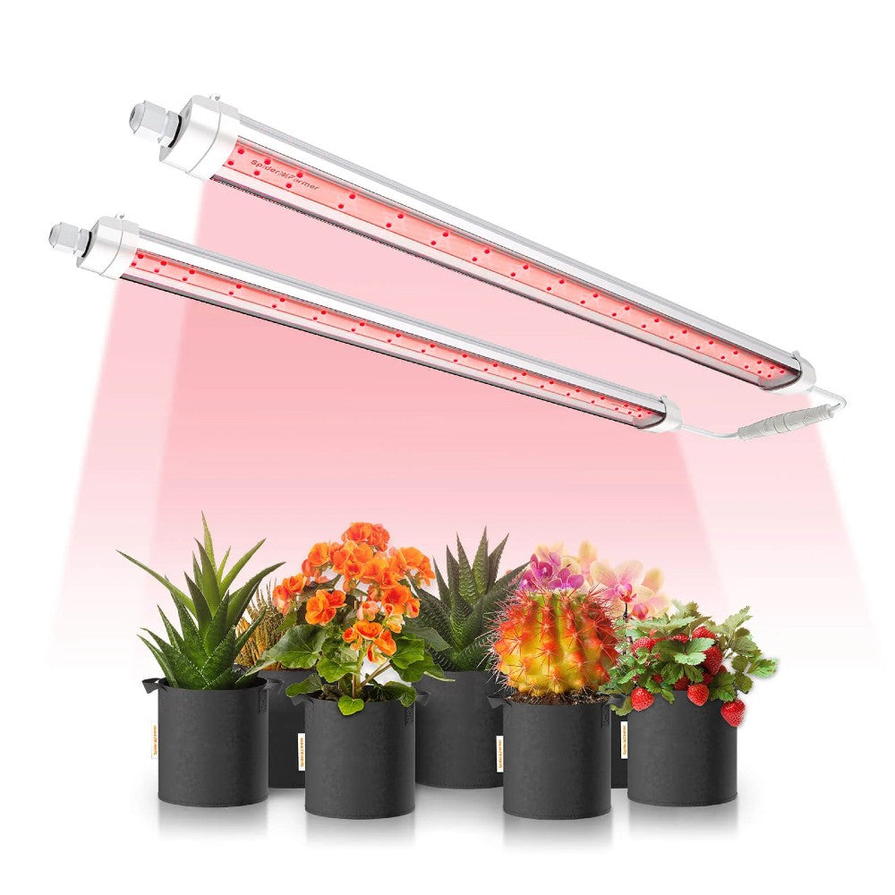 Supplemental LED Lighting