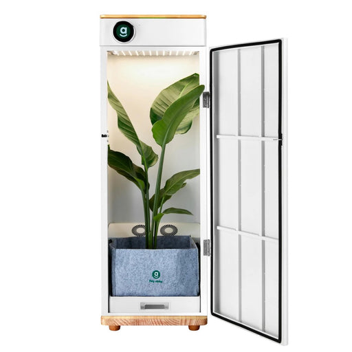 Fully Automated Hydroponic Grow Boxes — LED Grow Lights Depot