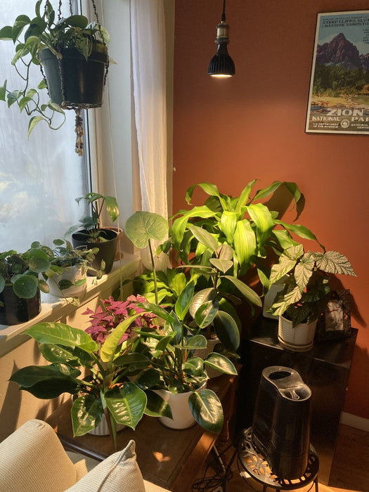 Soltech Vita™ Grow Light - LED Grow Lights Depot