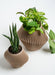 Soltech Disc Modern Indoor Planter - LED Grow Lights Depot
