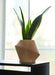 Soltech Disc Modern Indoor Planter - LED Grow Lights Depot