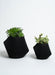 Soltech Disc Modern Indoor Planter - LED Grow Lights Depot