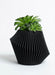 Soltech Disc Modern Indoor Planter Black / Small - LED Grow Lights Depot