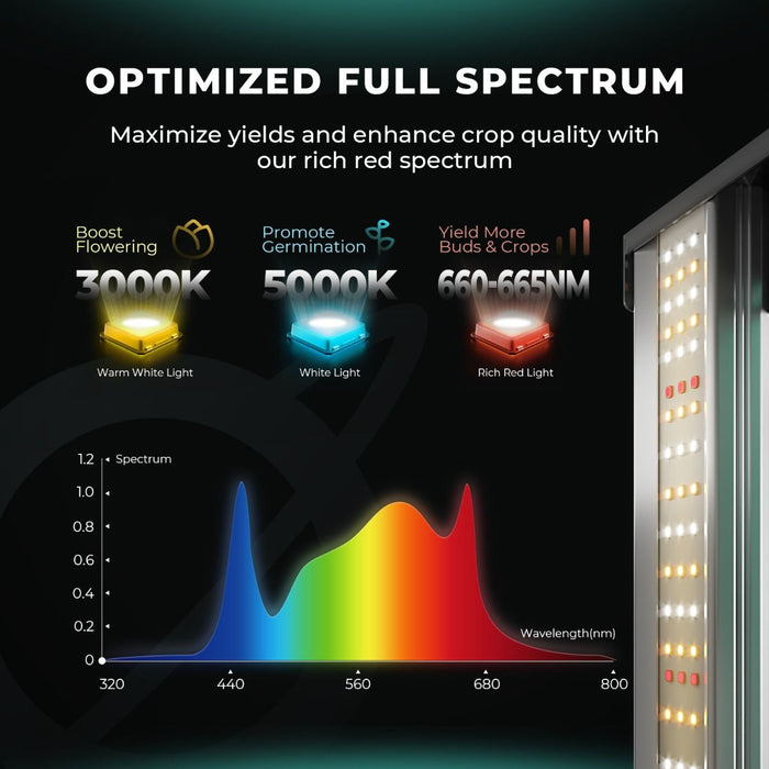 Mars Hydro FC 1500 EVO + 2'x2' Complete Indoor Grow Tent Kit - LED Grow Lights Depot