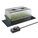 AC Infinity Humidity Dome | Germination Kit w/ Seedling Heat Mat and Heating Controller | 5x8 Cell Tray  - LED Grow Lights Depot