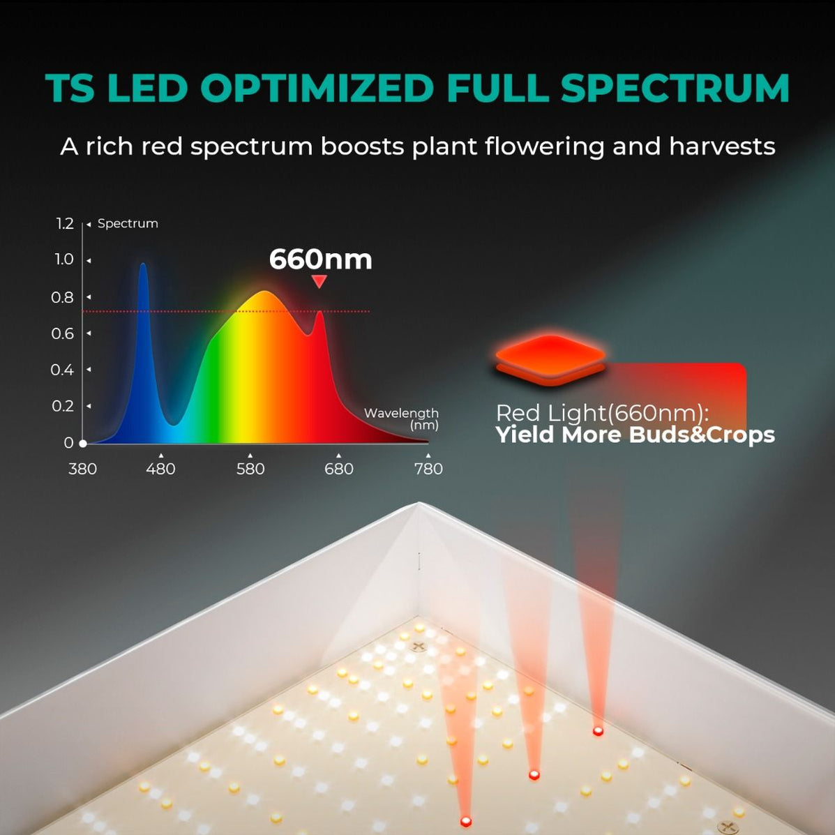 Buy Mars Hydro TS 1000 LED Grow Light — LED Grow Lights Depot