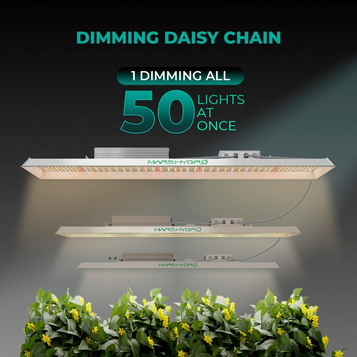 Mars Hydro TSL 2000 LED Grow Light — LED Grow Lights Depot