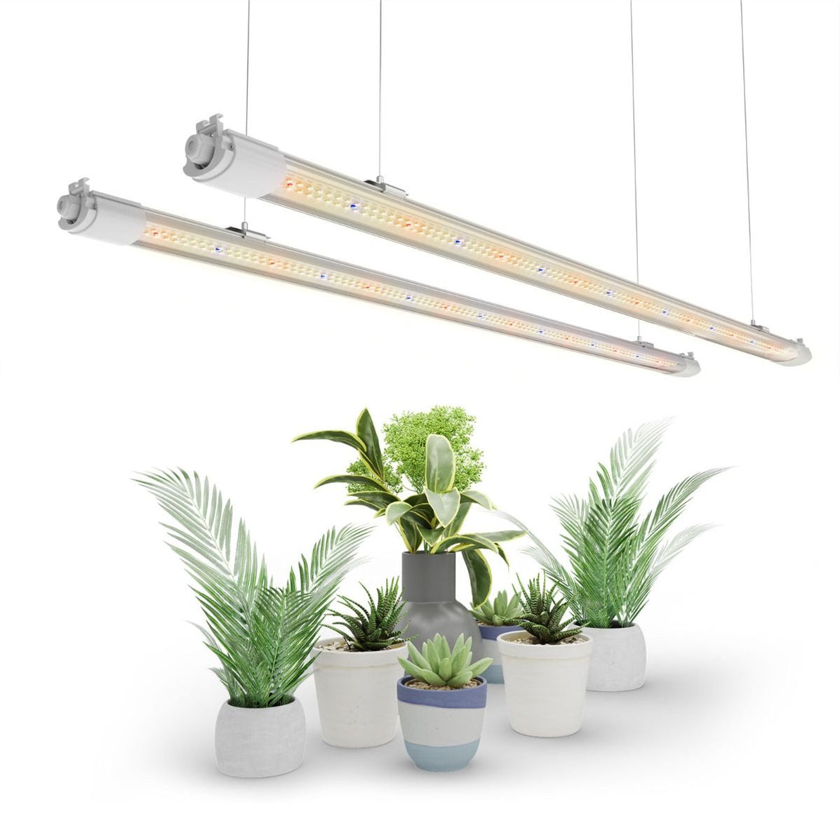 Mars Hydro VG80 LED Grow Light For Seedlings, Vegetative, and Cloning ...