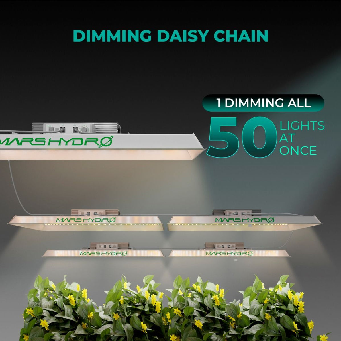 Mars Hydro TS 3000 LED Grow Light — LED Grow Lights Depot