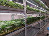 AB Lighting Horti-Tubes (30-pack / 4' long)  - LED Grow Lights Depot