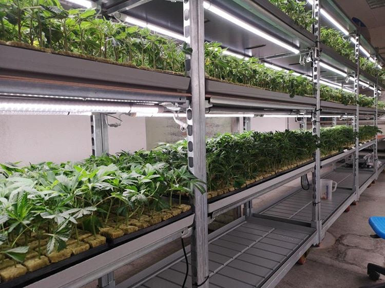 AB Lighting Horti-Tubes (30-pack / 4' long)  - LED Grow Lights Depot