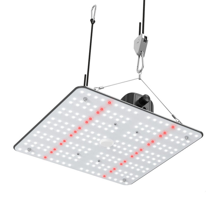 Crecer Lighting QuantumX 100  - LED Grow Lights Depot
