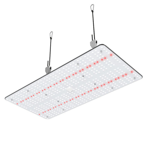 Crecer Lighting QuantumX 240  - LED Grow Lights Depot