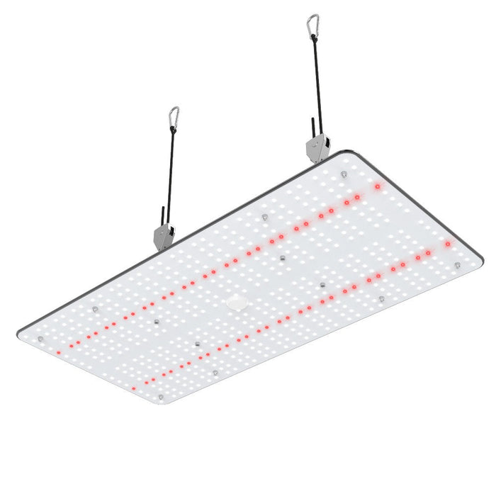Crecer Lighting QuantumX 240  - LED Grow Lights Depot
