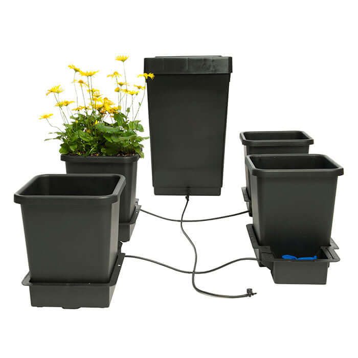 Happy Hydro | Automated Grow Tent Kit | 4-Plant | 4’ x 4’ x 6’8"  - LED Grow Lights Depot