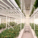 Mars Hydro FC8000 Samsung LM301B 800W  - LED Grow Lights Depot