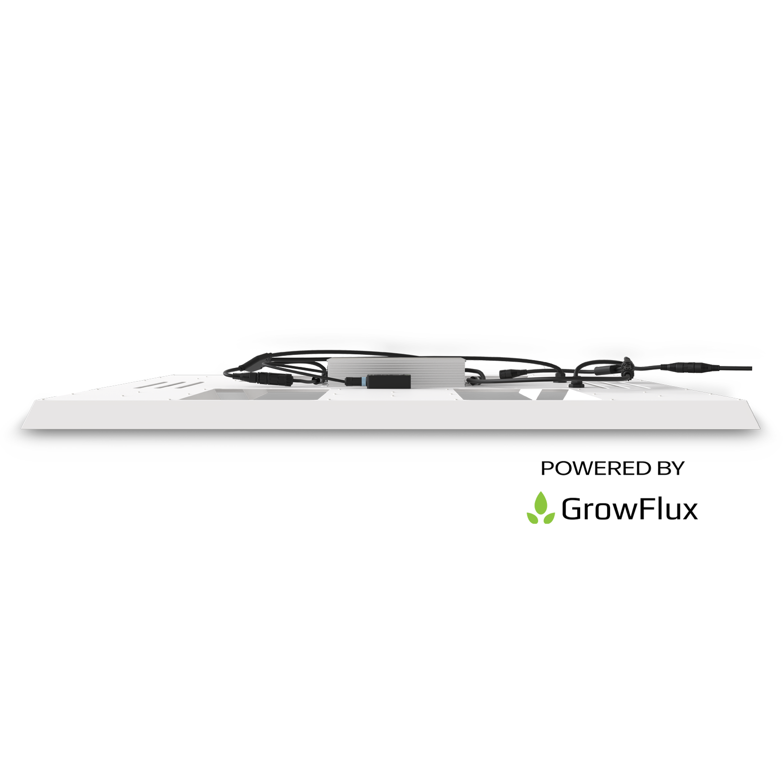 HLG Scorpion Diablo LED Grow Light Horticulture Lighting Group — LED