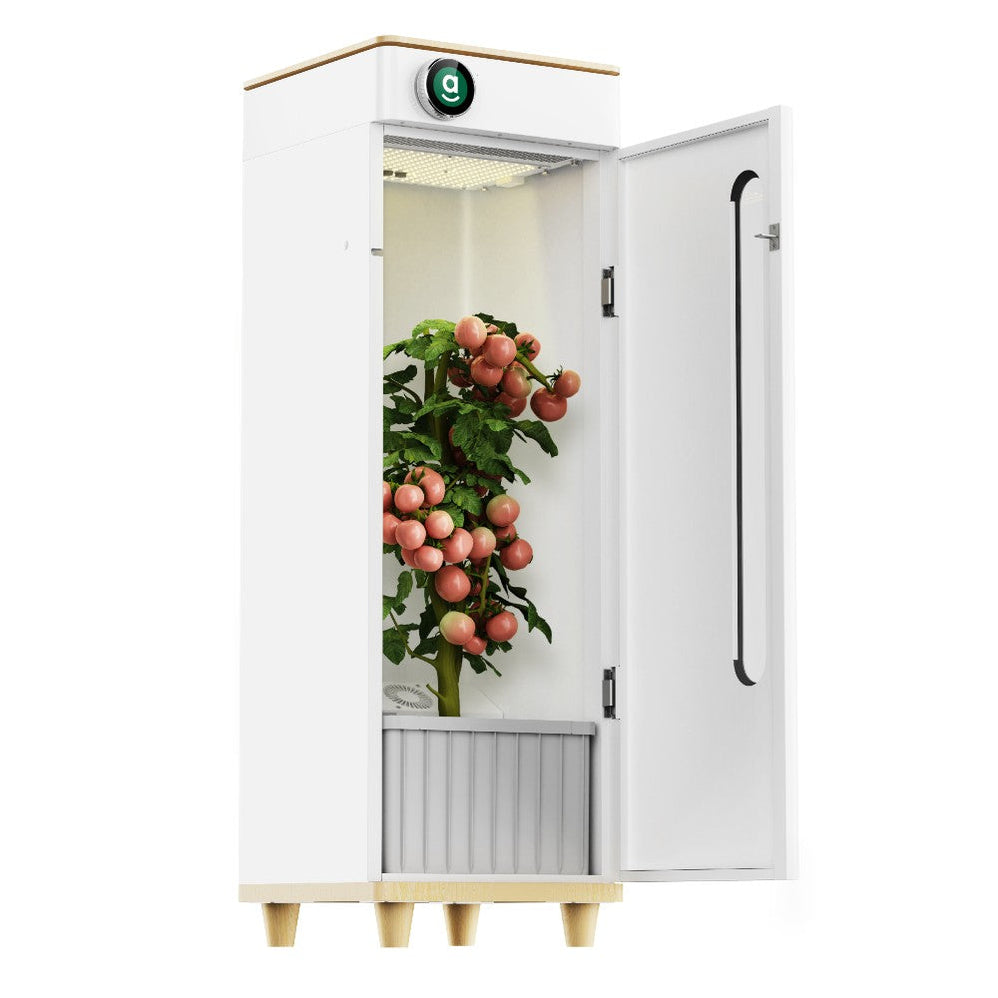 Growing Boxes On Module Rack Fully Automated Hydroponic Grow Boxes — LED Grow Lights Depot