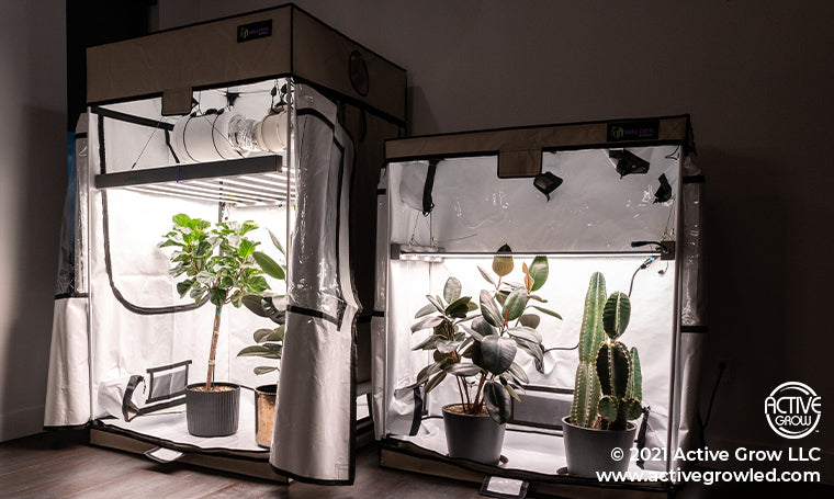 cannabis grow tent Active Grow 4' x 4' Walden White Grow Tent