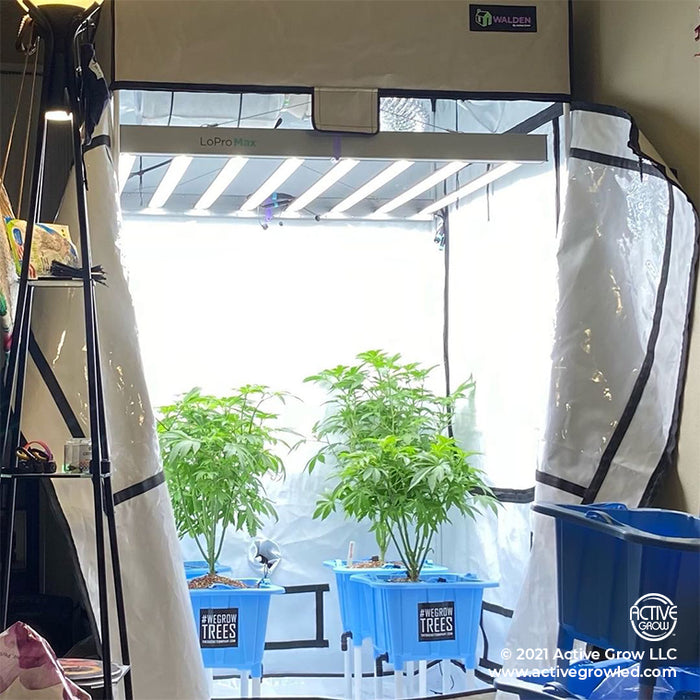grow tent side lighting Active Grow 4' x 4' Walden White Grow Tent