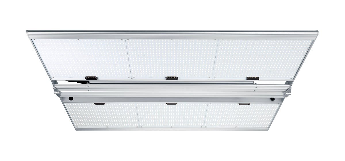 NextLight Mega Pro & Gorilla Grow Tent Package Deal  - LED Grow Lights Depot