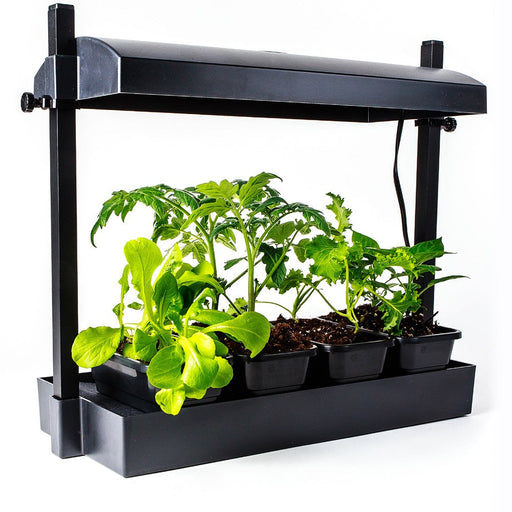 Sunblaster Micro LED Grow Light Garden, Black  - LED Grow Lights Depot