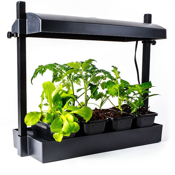 are black lights good for growing plants Sunblaster Micro LED Grow Light Garden, Black — LED Grow Lights Depot