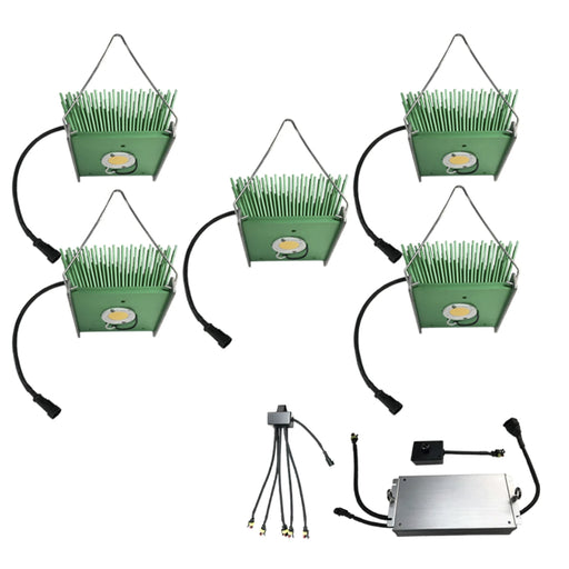Timber Grow Lights Quintet of Daisies (5)  - LED Grow Lights Depot
