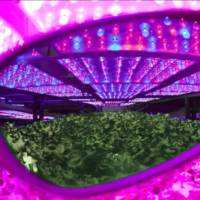 Method 7 Cultivator LED Classic  - LED Grow Lights Depot