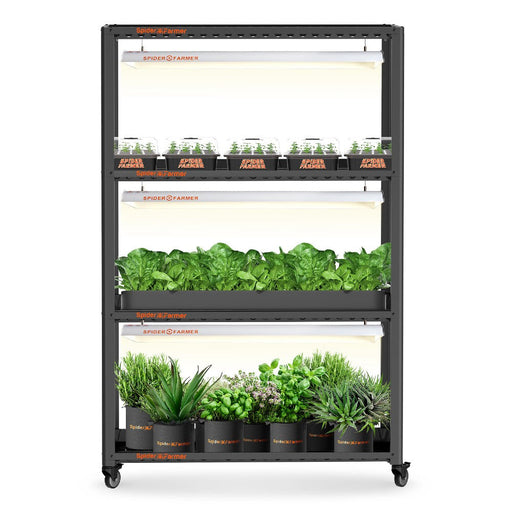 Spider Farmer SF600 with Grow Shelves and Plant Trays  - LED Grow Lights Depot