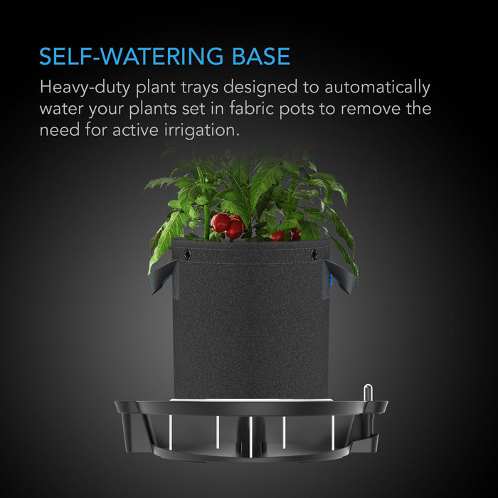 GS Garden Macetas De Riego Automático De 5 Pulgadas Para Plantas De Interior Paquete De 3 Macetas De Plastico De Color Violeta Africano Con GS Garden Macetas De Riego Automático De 5 Pulgadas Para Plantas De Interior Paquete De 3 Macetas De Plastico De Color Violeta Africano Con