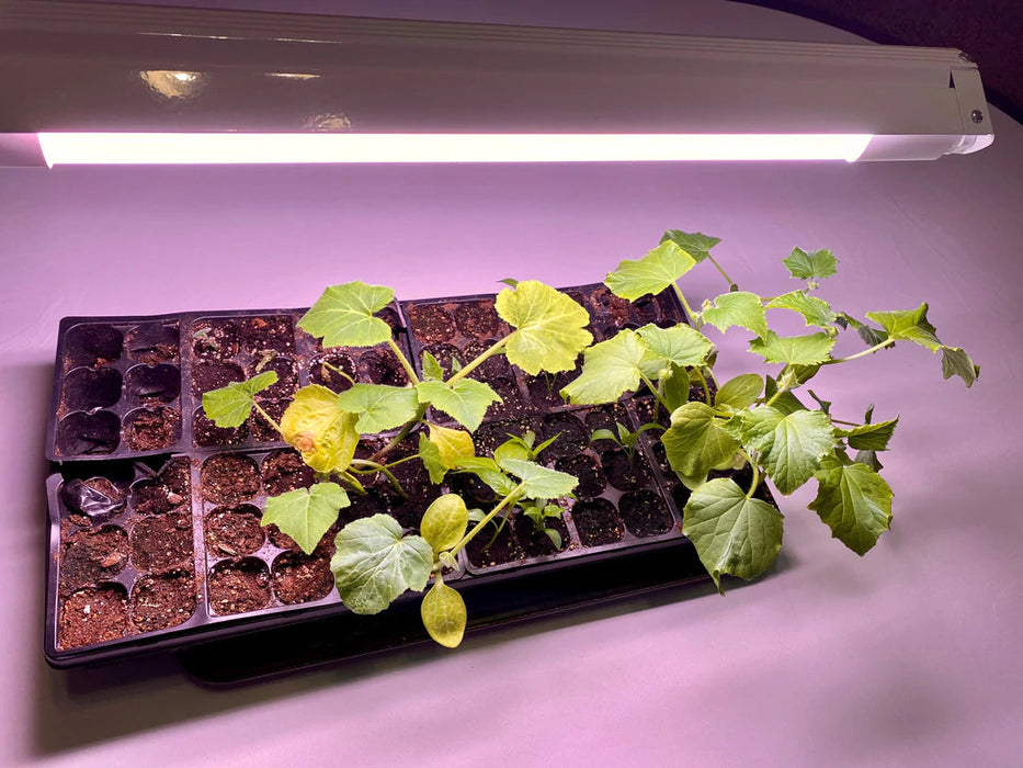 shop light for growing plants Toggled 2 ft. LED Grow Shop Light Fixture w/ Ultra High Output Gro LED Tubes — LED Grow Lights Depot